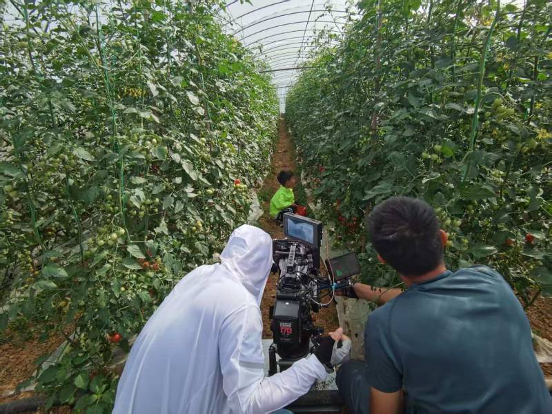 巴里坤产品宣传视频拍摄公司进阶指南，助力品牌抢占传播高地